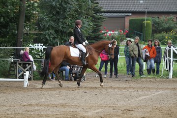 Bild 214 - WBO-Turnier am 18.9.11